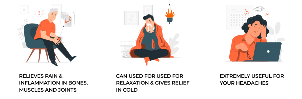 best ayurvedic pain relief balm